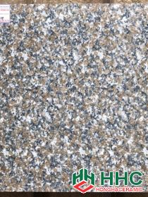 Gạch 60x60 bóng kiếng toàn phần 661hhm